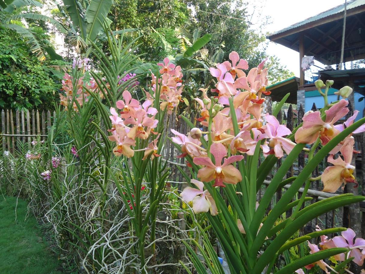 Lhoyjean Garden Hostel Batuan Екстериор снимка