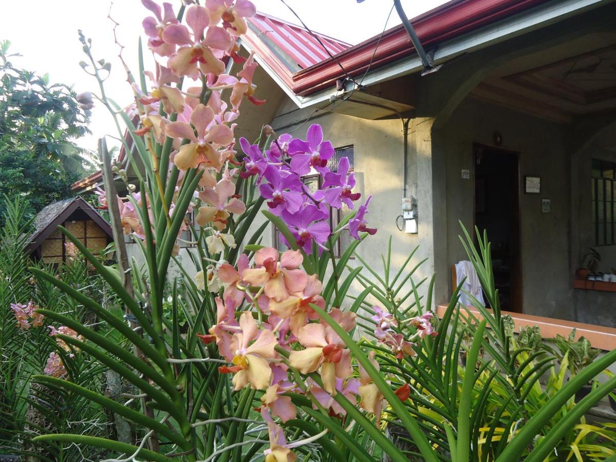 Lhoyjean Garden Hostel Batuan Екстериор снимка